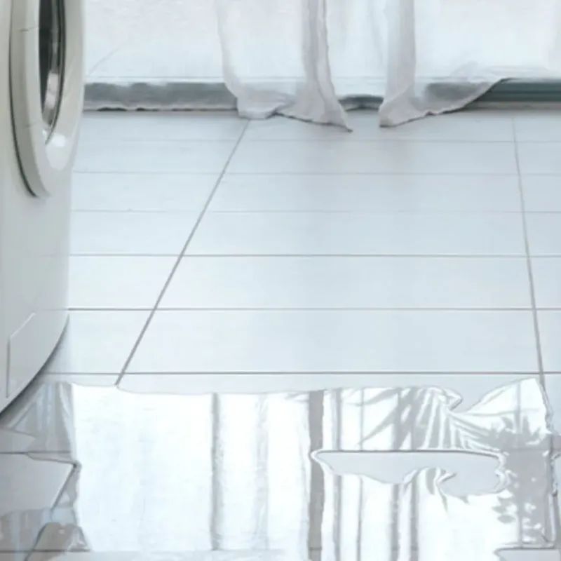 Appliance Leak Cleanup in Athens, PA