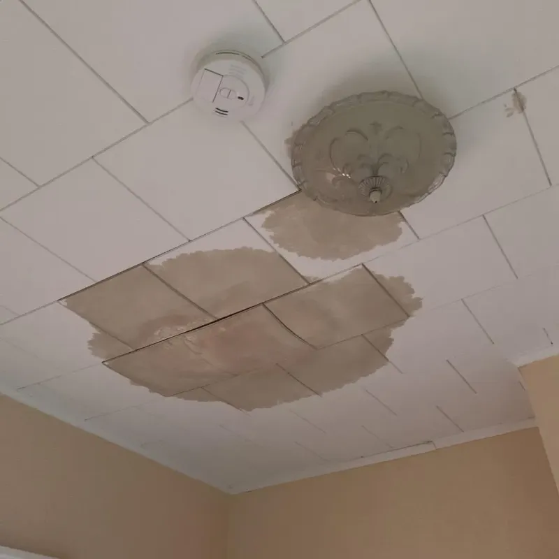 Ceiling Water Damage Repair in Athens, PA