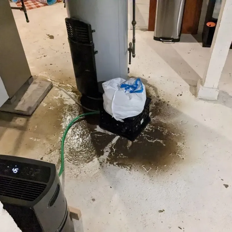 Sewage Backup Cleanup Service in Athens, PA